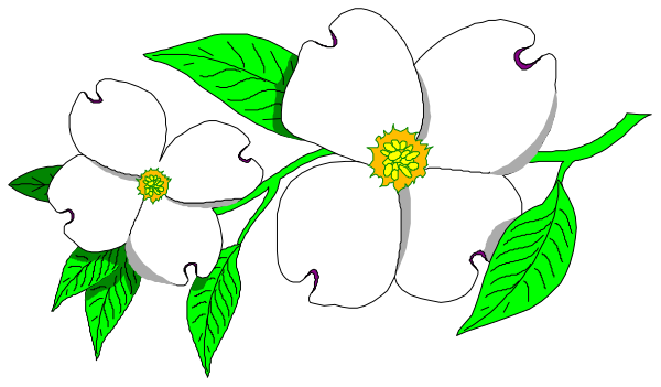 The image shows a stylized illustration of white flowers with green leaves on either side against a dark background.