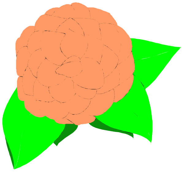 The image shows two identical red flowers with green leaves against a black background on either side of each other.