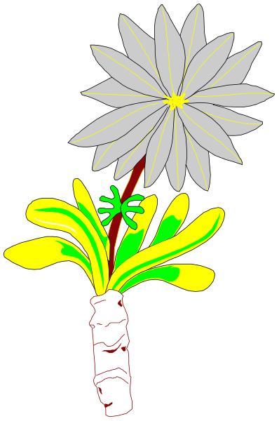 The image shows a single flower with three petals against a black background on top of two green leaves that resemble grass blades in front of it.