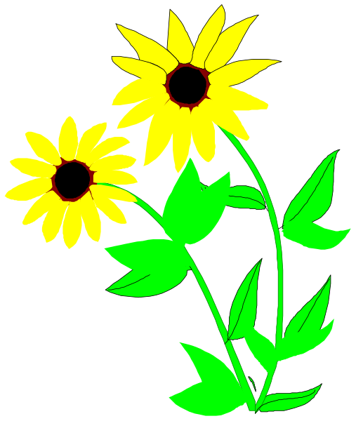 The image shows three sunflowers with green stems against a black background; two of them have yellow petals while the third has white ones.