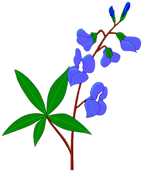 The image shows a single blue flower with green leaves on it against a black background.