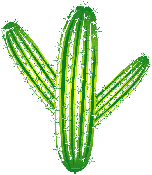 The image shows a graphic of an open cactus with spines on its sides against a black background.