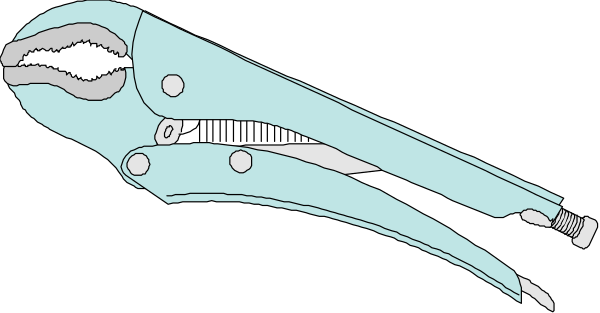The image shows a blue crab with its claws open against a black background.