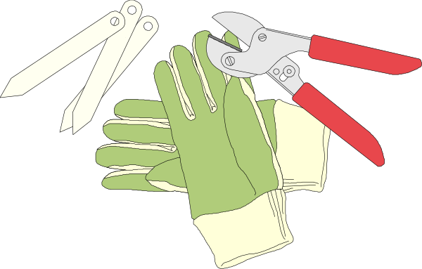 The image shows a pair of scissors with red handles next to an open green glove on what appears to be a black background.