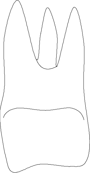 The image shows a black and white illustration of an open book with pages facing outward on what appears to be a gray background.
