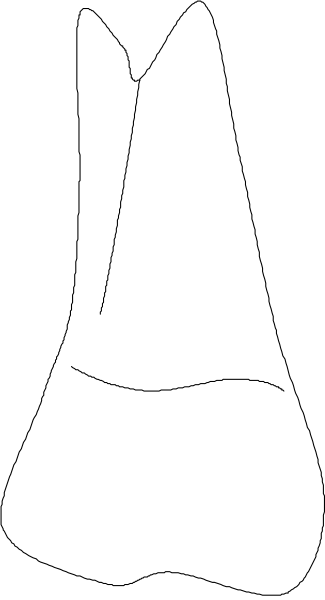 The image shows a black and white cartoon of an object that resembles a person with their head cut off at the neck level, standing in front of another similar figure which is only partially visible on its left side due to cropping from the top edge of the frame.