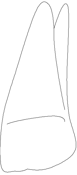 The image shows a white sock with black stitching on it against a gray background.
