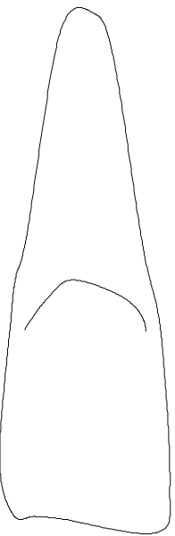 The image shows a white candle with two wicks on either end against a gray background.