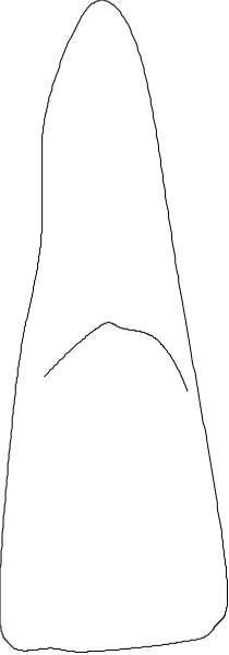 The image shows a white candle with two wicks on either end against a gray background.