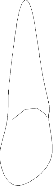 The image shows a single white teardrop shape with no other discernible elements present within it.