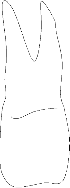 The image shows a white bunny with long ears standing on its hind legs against a gray background.