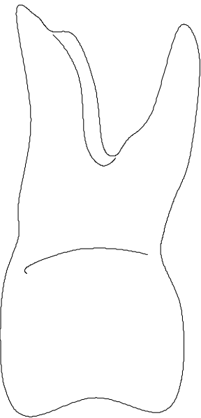 The image shows a white bunny with long ears standing on its hind legs against a black background.