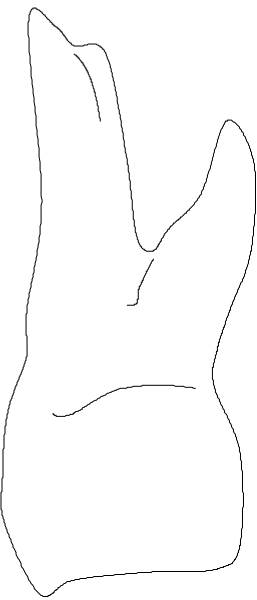 The image shows a black and white bunny with its head sticking out of what appears to be an opening on top of another object that is partially obscured by the rabbit's body; it seems like there might be some text, but I cannot read or describe any content in this area.