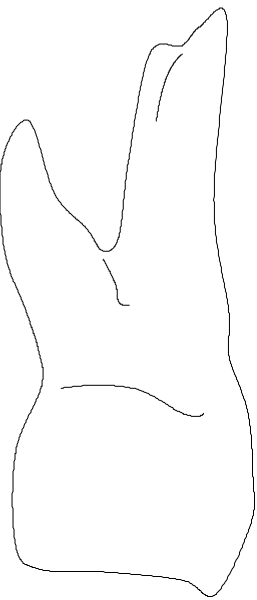 The image shows a white silhouette of an animal that appears to be either a bird with its wings spread out or possibly another type of creature against a black background on what looks like a computer screen displaying pixelation, suggesting it's from a video game or similar digital medium.