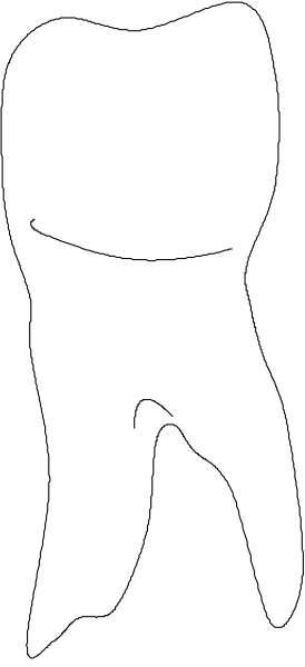 The image shows a black silhouette of an adult human figure standing against a light background with their arms outstretched to either side in front view.