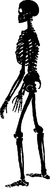 The image shows a black and white photo of an animated character with multiple limbs that appears to be walking through what looks like a dark room filled with various items such as bookshelves in the background.