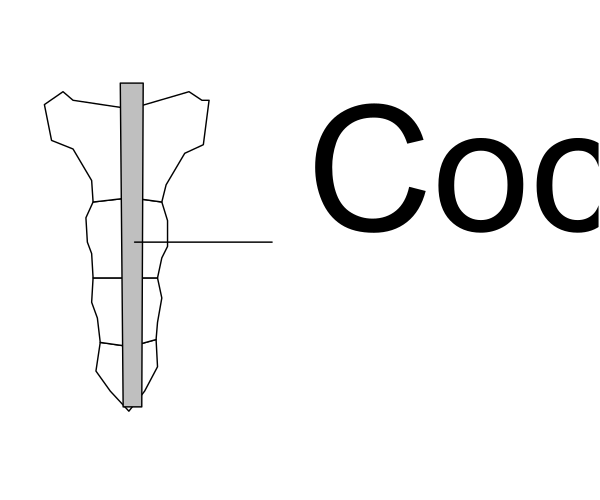 The image shows a black and white illustration of an object that resembles a human spine with text above it reading "COOL."