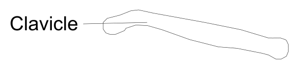 The image shows a black and white photo of an object with text on it that reads "Cavicie" at its top right corner.