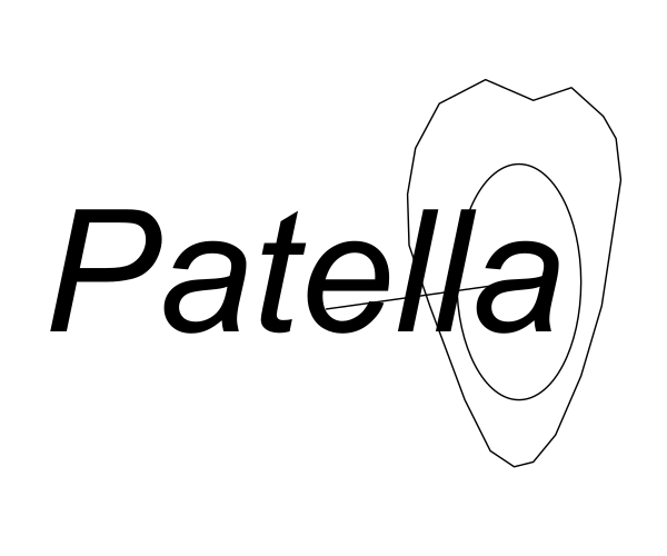 The image shows a white tooth with text that reads "PATELLA" on it against an indistinct background.
