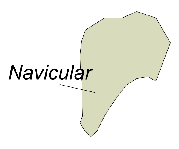 The image shows a map with annotations pointing to different locations labeled "nava" and "navicular."