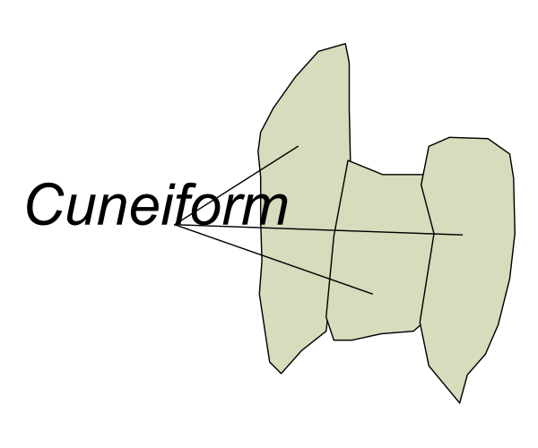 The image shows a simple line drawing of an object with text that reads "Cuneiform."