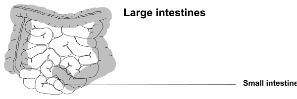The image shows a black and white illustration of two cats sitting on top of each other with their tails hanging down.