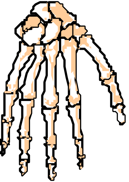 The image shows a skeletal hand with five fingers against a black background.