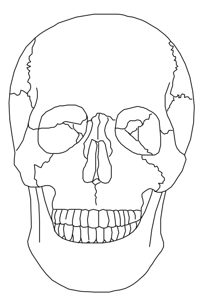 The black and white illustration shows a human skull with glasses on it against a dark background.