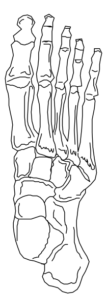 The black and white illustration shows a human foot with toes pointing upwards against a dark background.