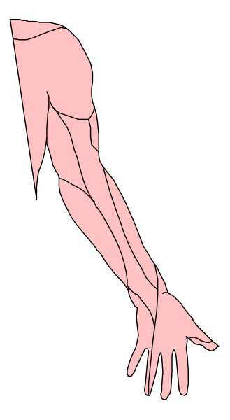 The image shows a black silhouette of an arm with veins against a white background on top half and pink skin tone in bottom half.
