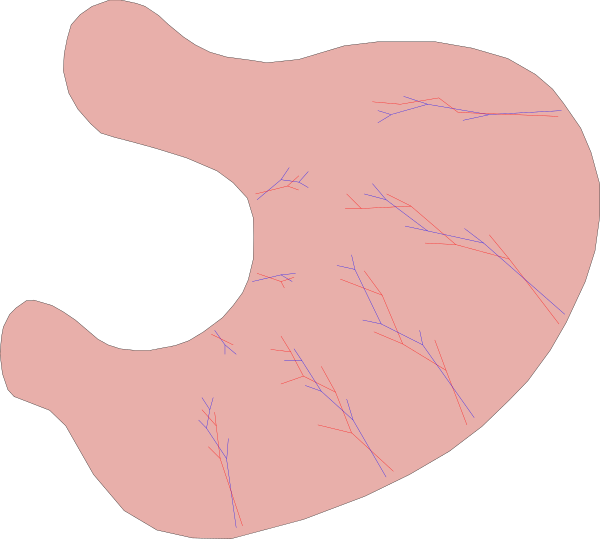 The image shows a stylized representation of an organ with veins highlighted on it against a black background.