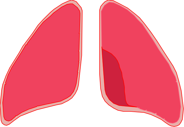The image shows a stylized graphic of two lungs with red outlines against a dark background.