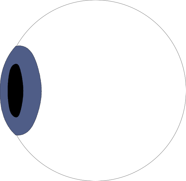 The image shows a close-up of an eye with two pupils against a black background.