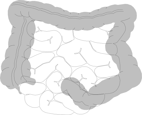 The image shows a black and white line drawing of an intestine with various twists and turns that resemble a maze-like pattern within it.
