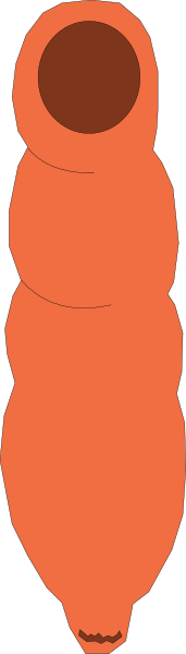 The image shows a red object that resembles an orange carrot with two eyes on it against a gray background.