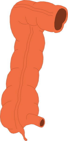 The image shows a red pipe with multiple bends against a gray background.
