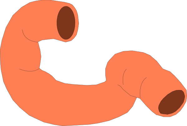 The image shows a simple illustration of two red pipes with holes on either end connected by an orange pipe that has been bent into shape to fit between them.
