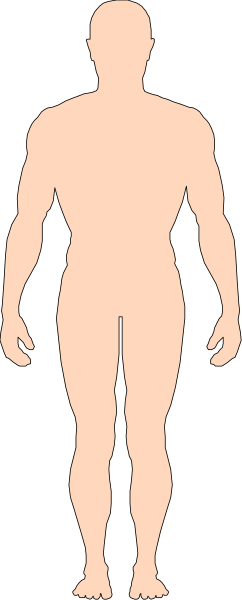 The black silhouette of a human figure standing on two legs with arms at sides against a white background.