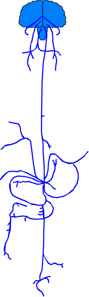 The image shows a blue line drawing of an abstract plant with roots on top against a gray background.