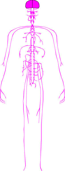 The image shows a purple silhouette of an adult human figure standing against a black background with white stripes on either side.