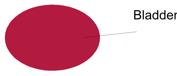 The image shows a red circle with two smaller circles inside it on top of each other to represent an eye, placed next to text that reads "Blader."