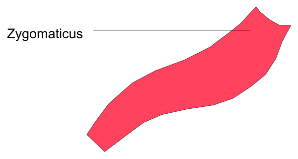The image shows a red line on top of some text that reads "ZOMATICUS."