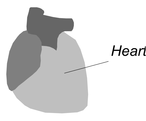 The image shows a black silhouette of an open heart with "HAEART" written on it next to another word that is partially obscured by the drawing's border.