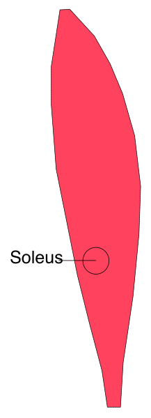 The image shows a red arrow pointing to an object labeled "Solius" on what appears to be a map with grid lines indicating latitude and longitude coordinates.