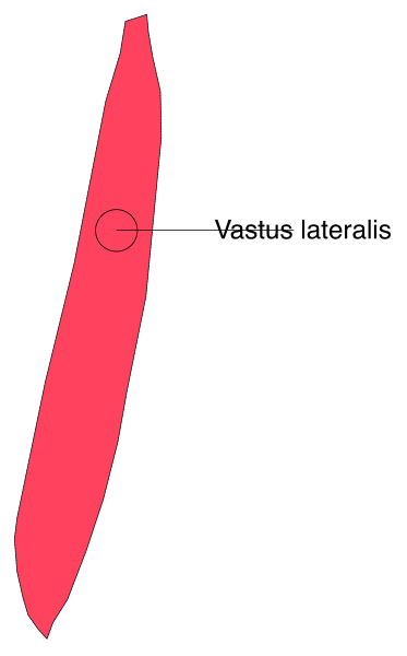The image shows a red vertical line with an arrow pointing to it from above on what appears to be a white background.