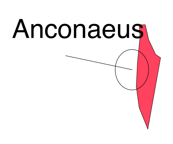 The image shows a red arrow pointing to an area on a map with text that reads "Ancónius."