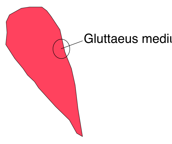 The image shows a red flag with text on it that reads "Gluten Free" next to an illustration of gluten molecules in white against a black background.