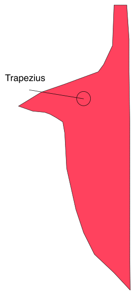 The image shows a red kite with white text that reads "Trapezius" flying against an overcast sky in front of trees on what appears to be a cloudy day.