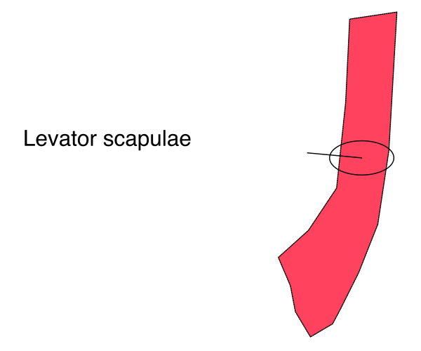 The image shows a red arrow pointing to an elevated platform labeled "elevator."