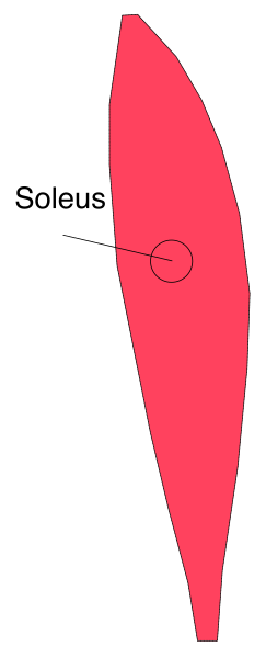 The image shows a red object with an arrow pointing to it on top of another gray background that has stripes running across its width.